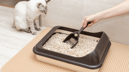 how to get rid of cat litter smell